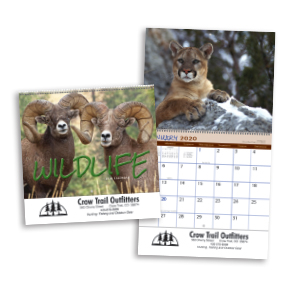Wildlife Wall Calendar - Stapled - Late B2801