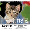 Norwood Kittens 1055