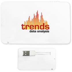 Norwood 1 GB Full-Color Credit Card USB 2.0 Flash Drive 30739