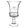 Norwood Medici Clear Crystal Trophy 35040