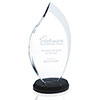 Norwood Innovation Award - Large 36362