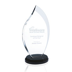 Norwood Innovation Award - Medium 36363