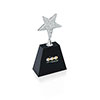 Norwood Rhinestone Star Award - Small 36695