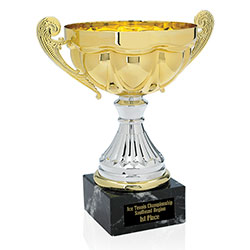 Norwood Scalloped Trophy - 10