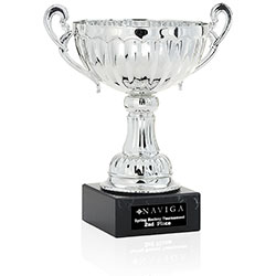 Norwood Dual Scrolled Trophy - 9