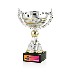 Norwood Swirl Trophy - 8