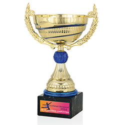 Norwood Swirl Trophy - 11