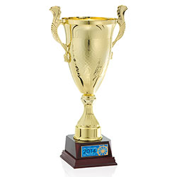 Norwood Pebbled Trophy 36725