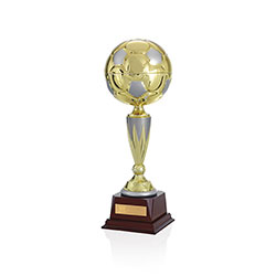 Norwood Top Score Trophy - 13
