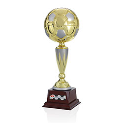 Norwood Top Score Trophy - 15