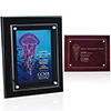 Norwood Floating Glass Plaque - 8" x 10" 36800
