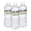 Norwood 16.9 oz. Twist Cap Bottled Water 40330