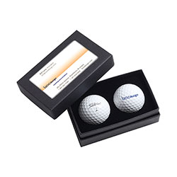 Norwood Titleist® 2-Ball Business Card Box - Pro V1® 60760