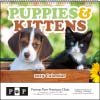 Norwood Puppies & Kittens - Spiral 7007