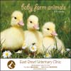 Norwood Baby Farm Animals - Stapled 7220