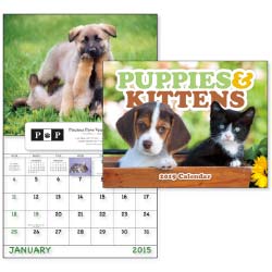 Norwood Puppies & Kittens - Window 7507